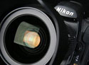 ���굥��ѡ������