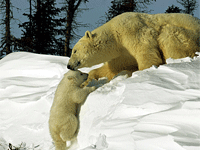 ���������������