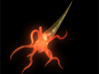 ����ͼ����ì���������ذ��