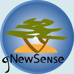 Ƽʱ_ᷢgNewSense1.0