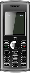 ZTE C160