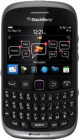 ��ݮ 9310