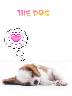 壁纸 动物 狗 狗狗 240_320 竖版 竖屏 手机 gif 动态图 动图