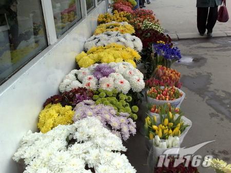 �ٶȽ�������G900��ŵ����N82���ŶԱ�(2)
