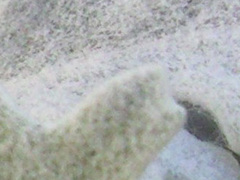 �˰���ͬ�Ŷ�����i8510/M8800ʵ��
