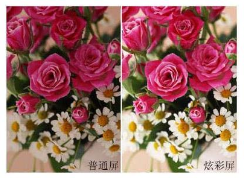 BENQ����������Ϸ����ƷR56�������!