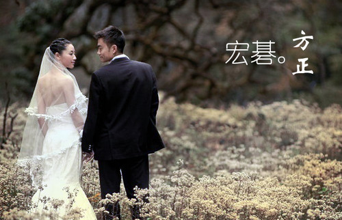 宏碁收购方正疑云多品牌战略能否复制