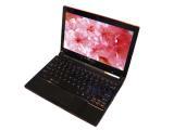 IdeaPad U110()