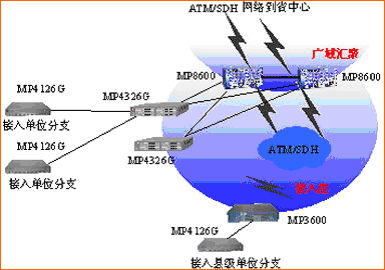 电子政务白皮书2002第二版（二）统一的网络信息平台解决方案