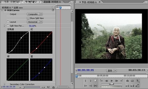 ʹAdobePremiereֻƵ(ͼ)