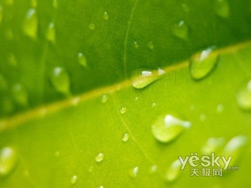 WindowsVistaϵͳ��Ȼ��ֽ����(��)