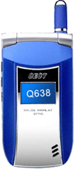 CECT Q638