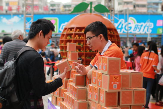 ����פ����ѯ