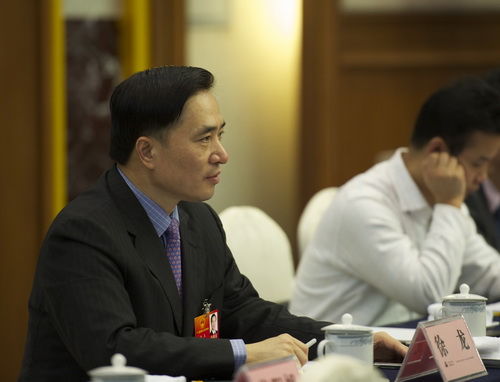 全国人大代表,中国移动广东公司总经理徐龙建议我国尽快明确td-lte