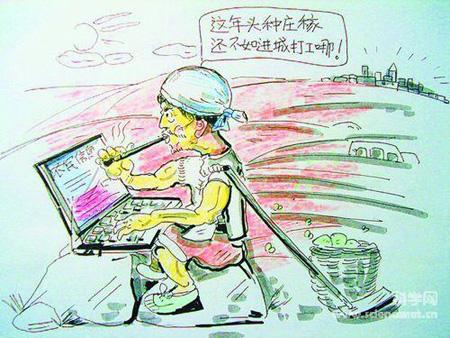 ���ۣ��ҹ���ʳ�����ռ�������