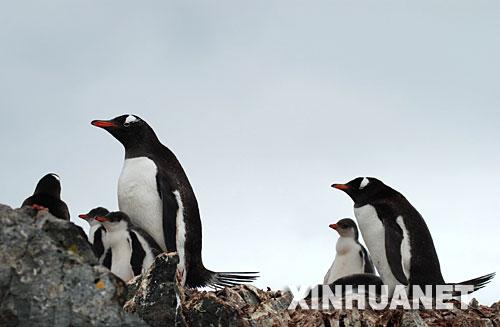 ��ͼ���ϼ�����վ�������������