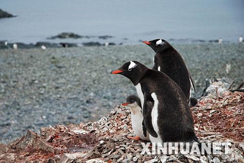 ��ͼ���ϼ�����վ�������������