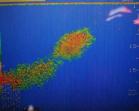 CCTV�߽���ѧ25�ղ���������˹���롷