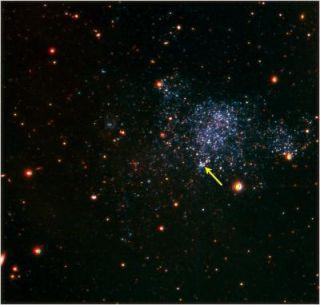 天文学家发现奇特二元恒星外形似花生(图)