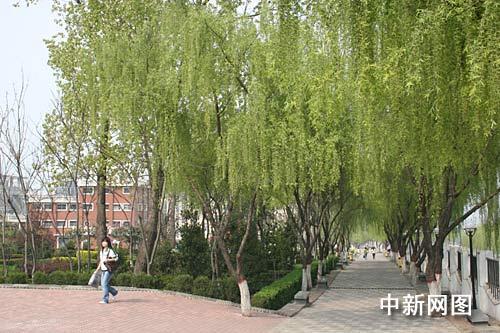 西安翻译学院校园一角