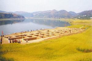 ���ŷ���Ϊ���庺���Ļ���ʷ�ṩ����֤��