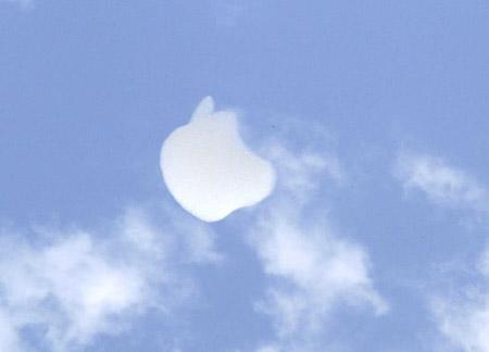 ���������ĭ�ƴ������������(��ͼ)