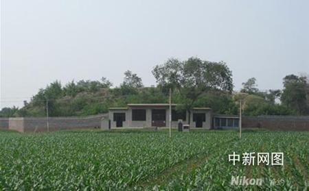 河北任县发现南北朝名士游雅古墓(图)