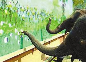 泰8头大象画家联手创作风景画_科学探索