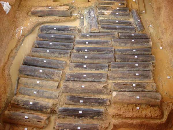 CCTV���߽���ѧ��2��9-15�ս�ĿԤ��