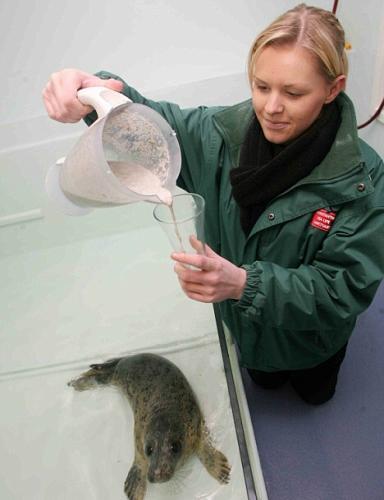 Ӣ��С��������������־�֢�ܾ�����(��ͼ)