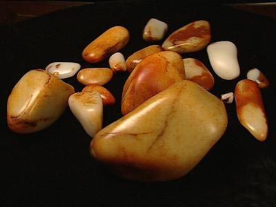 CCTV《走近科学》2月23日-3月1日节目预告