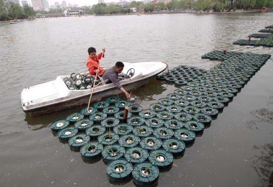 合肥人工湖建水生植物浮岛净化水体(图)