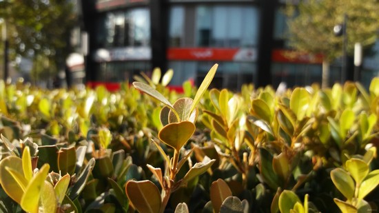 5.5����+����800����������VIBEZ����(4)