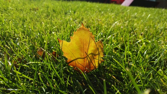 5.5����+����800����������VIBEZ����(4)