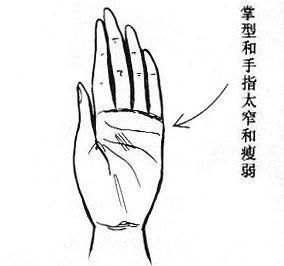 女人情感之掌型与面型(图片来源于作者博客)