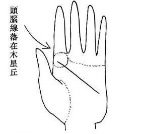 西方掌相学的分析(图片来源于作者博客)