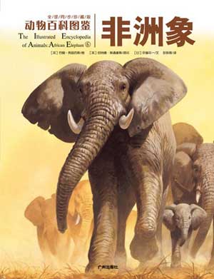动物百科图鉴:非洲象(图)