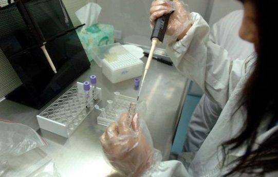 一工作人员做DNA抽取实验