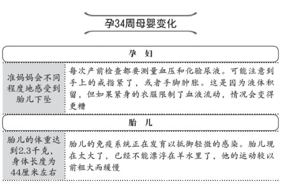 孕34周你的胎位正常吗