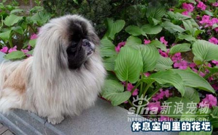 点击图片进入下一页