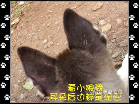 ͼƬһҳ