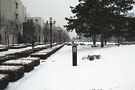 清华校园美丽雪景