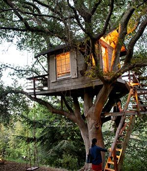 ����������ͯ�������������