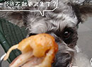  ͳԼ