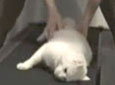Ըʵè