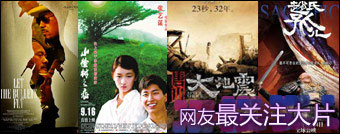 2010新浪网络盛典网友最关注大片