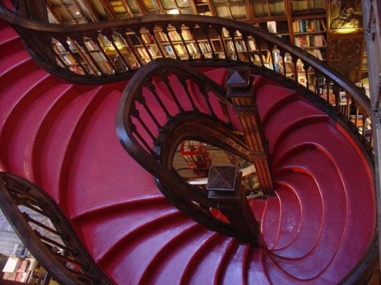 荷兰一年只开一月的最美图书馆