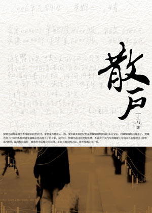 金融小说《散户》解密股市成功秘笈