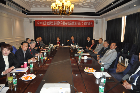 在德新能源项目专家论证会在京召开