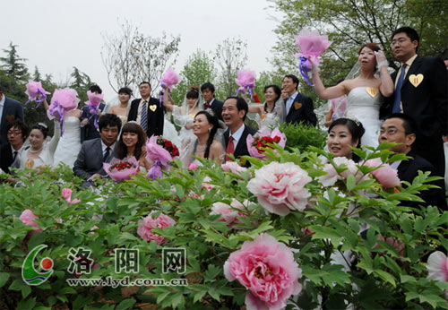 幸福姻缘云中漫步——2010洛阳牡丹婚典隆重举行